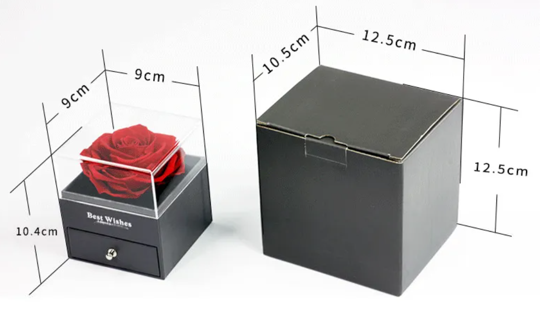 Preserved Rose Jewelry Box with Necklace – Luxury Gift for Her | 12 Colors